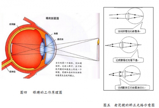 美麗島眼鏡：老花鏡不可隨意亂帶，需要在專業(yè)驗(yàn)光后科學(xué)配制